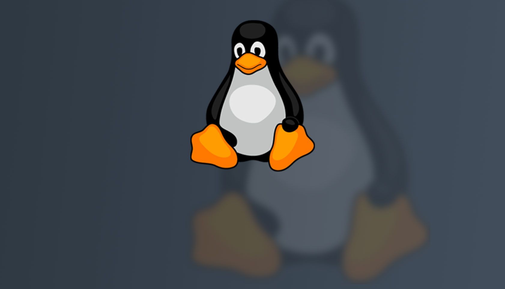 Лучший linux. Лучший линукс. Добрый линукс. Линукс 2020 лучшие дистрибутивы Linux.