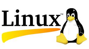 Начало работы с Linux и Ubuntu